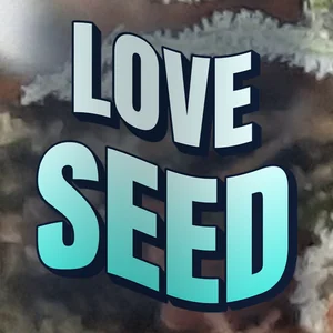 Love Seed Cannabis Strain