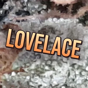 Lovelace Cannabis Strain