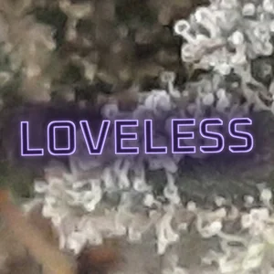 Loveless Cannabis Strain