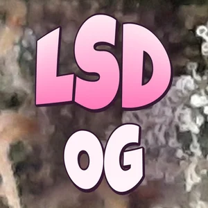 LSD OG Cannabis Strain