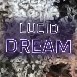 Lucid Dream Cannabis Strain