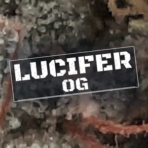Lucifer OG Cannabis Strain