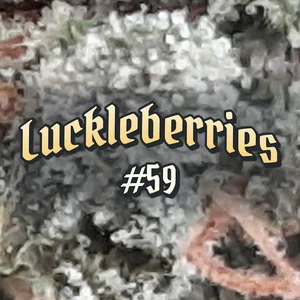 Luckleberries #59 Cannabis Strain