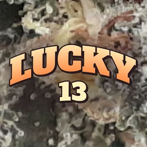 Lucky 13 Cannabis Strain