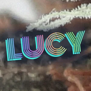 Lucy Cannabis Strain