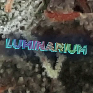 Luminarium Cannabis Strain