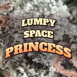 Lumpy Space Princess Cannabis Strain