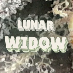 Lunar Widow Cannabis Strain