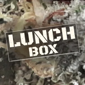 Lunch Box Cannabis Strain
