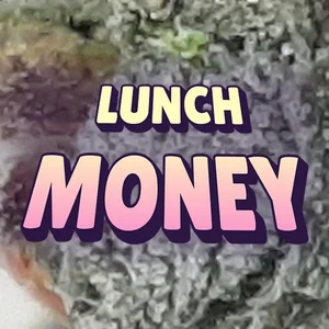 Lunch Money Cannabis Strain