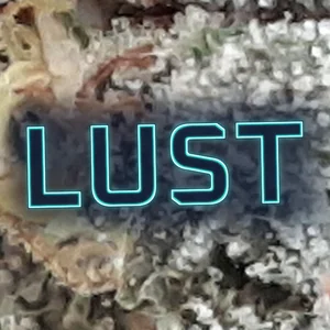 Lust Cannabis Strain