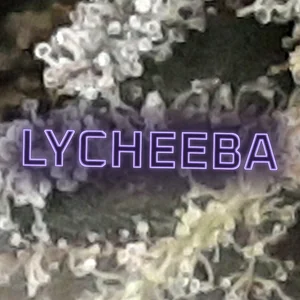 Lycheeba Cannabis Strain