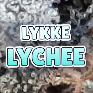 Lykke Lychee Cannabis Strain