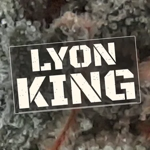 Lyon King Cannabis Strain