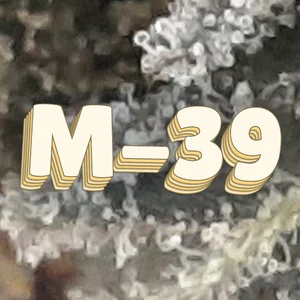 M-39 Cannabis Strain