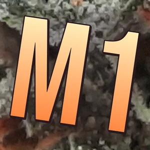 M1 Cannabis Strain