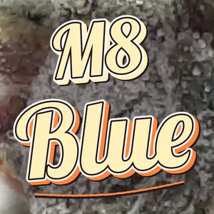 M8 Blue Cannabis Strain