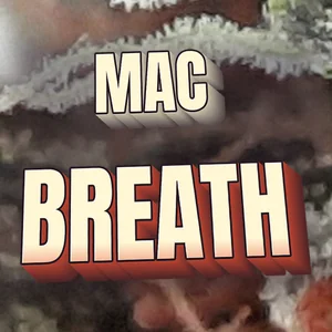 MAC Breath Cannabis Strain
