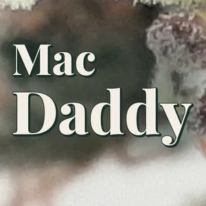 Mac Daddy Cannabis Strain