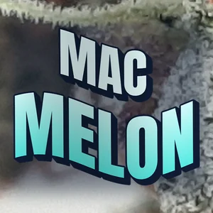 MAC Melon Cannabis Strain
