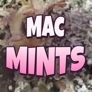 MAC Mints Cannabis Strain