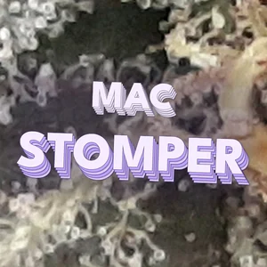 MAC Stomper Cannabis Strain