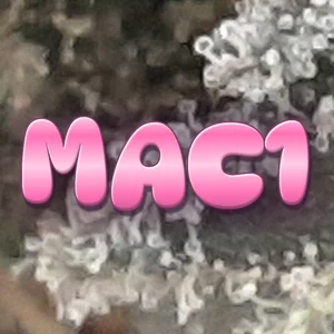 MAC1 Cannabis Strain