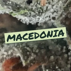 Macedonia Cannabis Strain