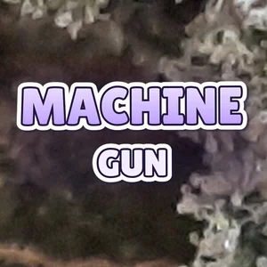 Machine gun Cannabis Strain