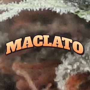 Maclato Cannabis Strain