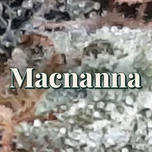 Macnanna Cannabis Strain