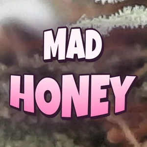 Mad Honey Cannabis Strain
