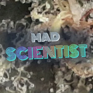 Mad Scientist Cannabis Strain