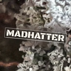 Madhatter Cannabis Strain