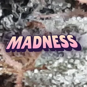 Madness Cannabis Strain
