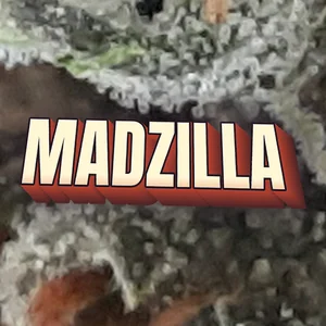 Madzilla Cannabis Strain