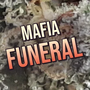 Mafia Funeral Cannabis Strain