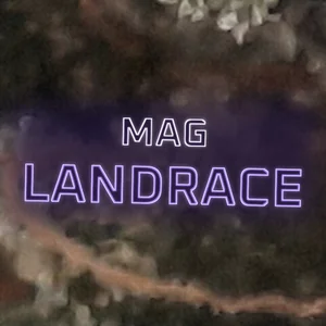 Mag Landrace Cannabis Strain