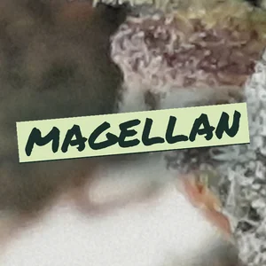 Magellan Cannabis Strain