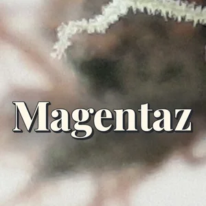 Magentaz Cannabis Strain