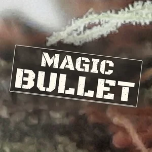 Magic Bullet Cannabis Strain