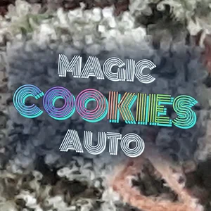 Magic Cookies Auto Cannabis Strain