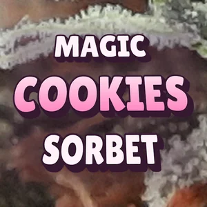Magic Cookies Sorbet Cannabis Strain