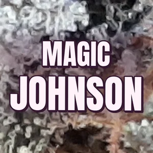 Magic Johnson Cannabis Strain