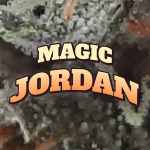 Magic Jordan Cannabis Strain