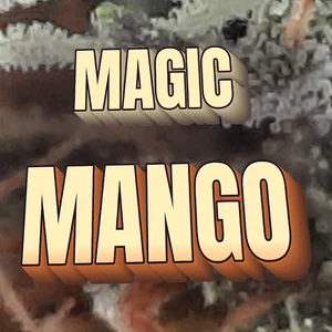Magic Mango Cannabis Strain