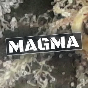 Magma Cannabis Strain