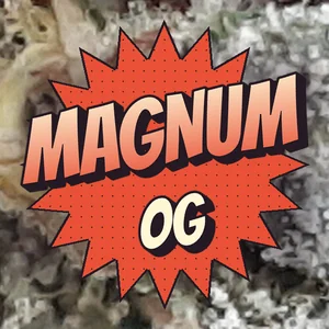Magnum OG Cannabis Strain