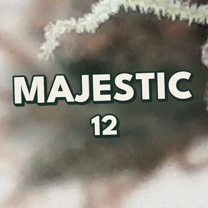 Majestic 12 Cannabis Strain