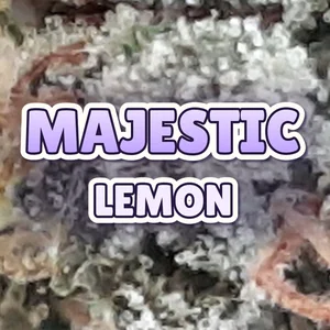 Majestic Lemon Cannabis Strain